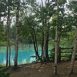 青い池
