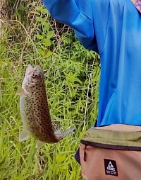 釣り 富良野