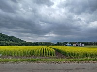 富良野 宿泊