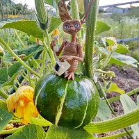富良野 野菜