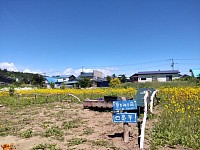 富良野 バーベキュー