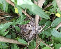 富良野 ゲストハウス