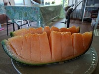 山部 メロン