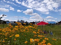 富良野 バーベキュー