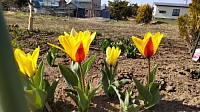 富良野 宿泊